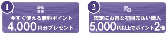 電話占いヴェルニで新月先生に無料で占ってもらうことは可能?